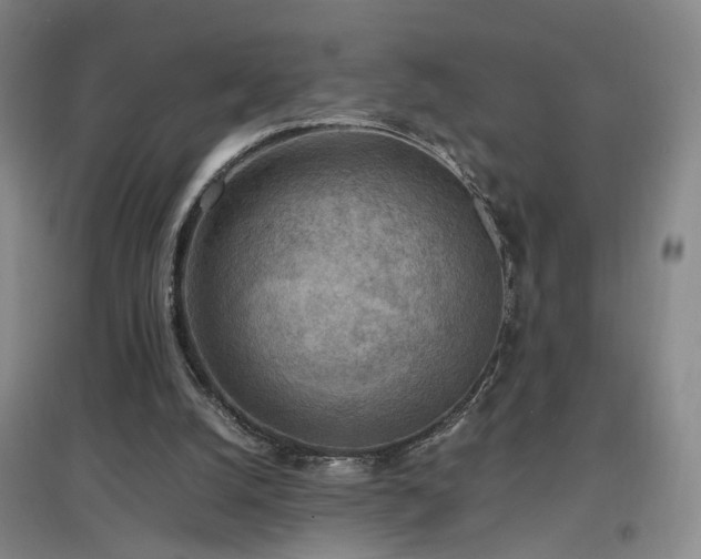 X0000097460056200802221223