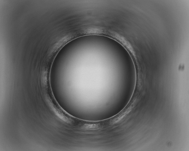 X0000097460057200802221223