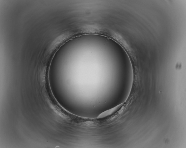 X0000097460058200802221223
