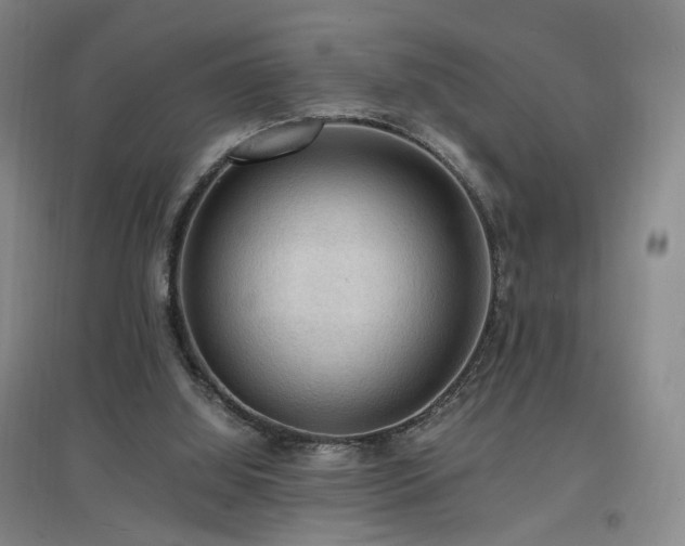 X0000097460060200802221223