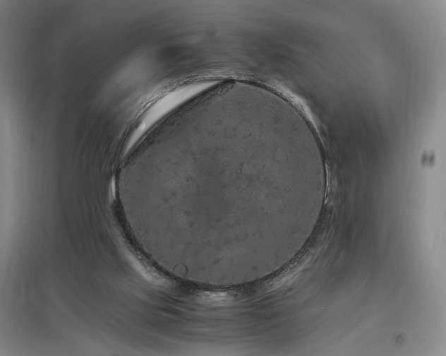 X0000097460061200802221223