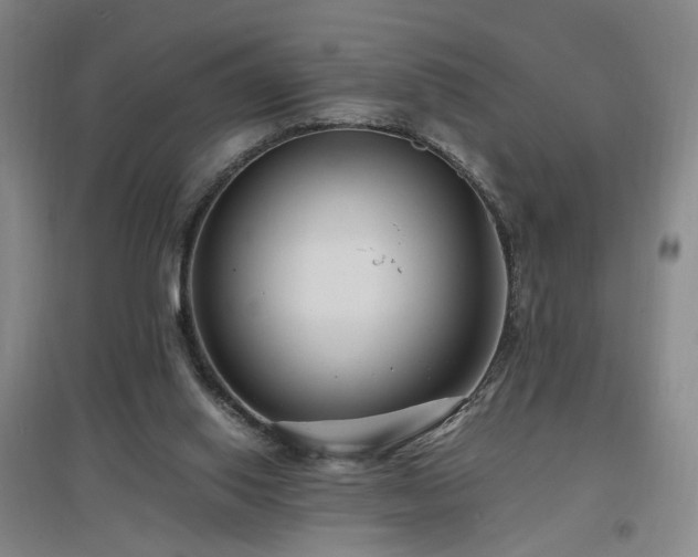 X0000097460062200802221223