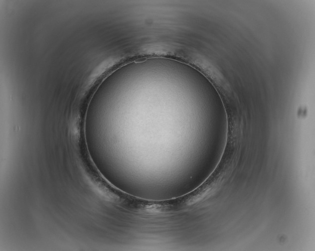 X0000097460064200802221223