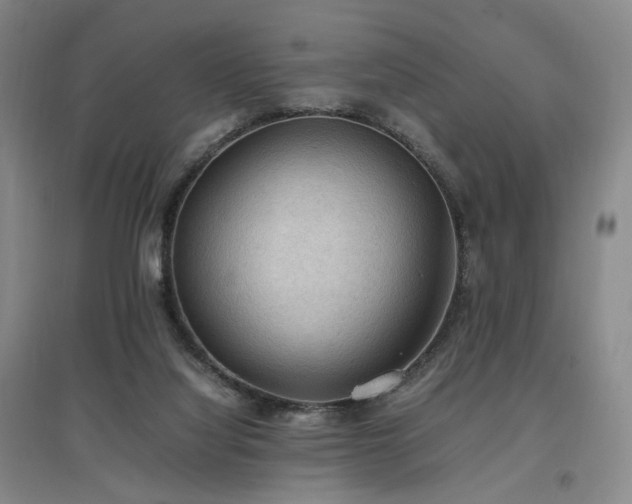 X0000097460068200802221223