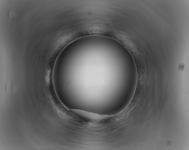 X0000097460070200802221223