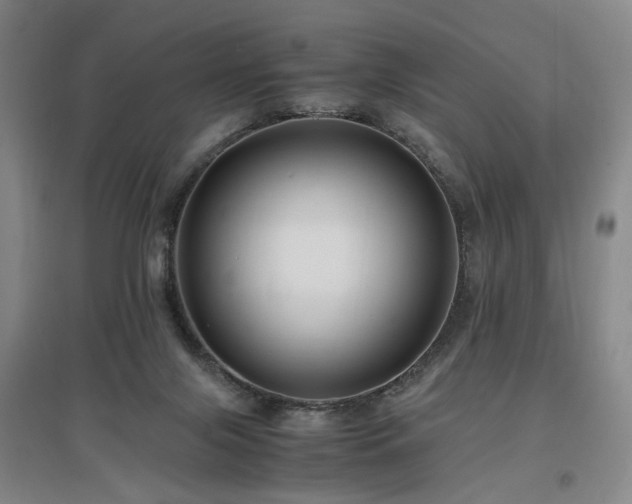 X0000097460071200802221223