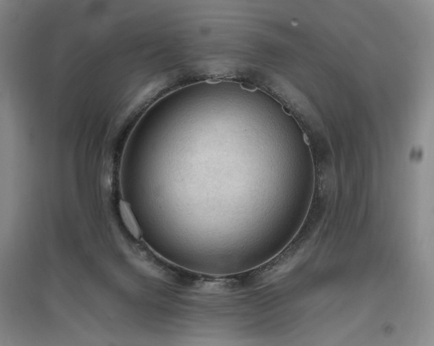 X0000097460072200802221223