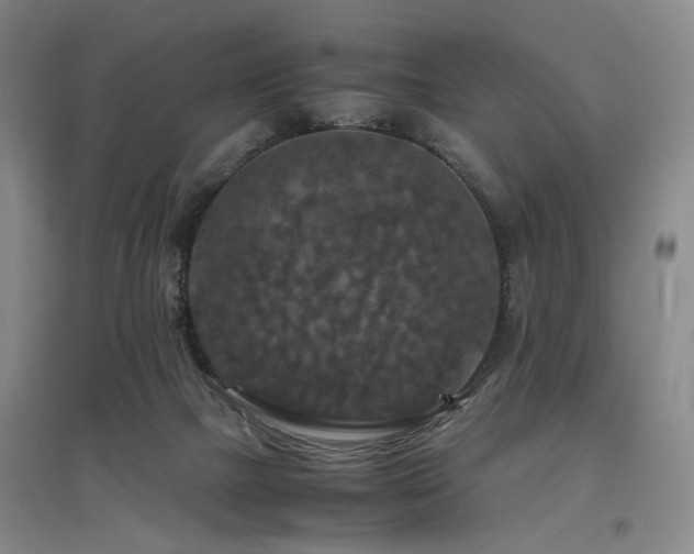 X0000097460073200802221223
