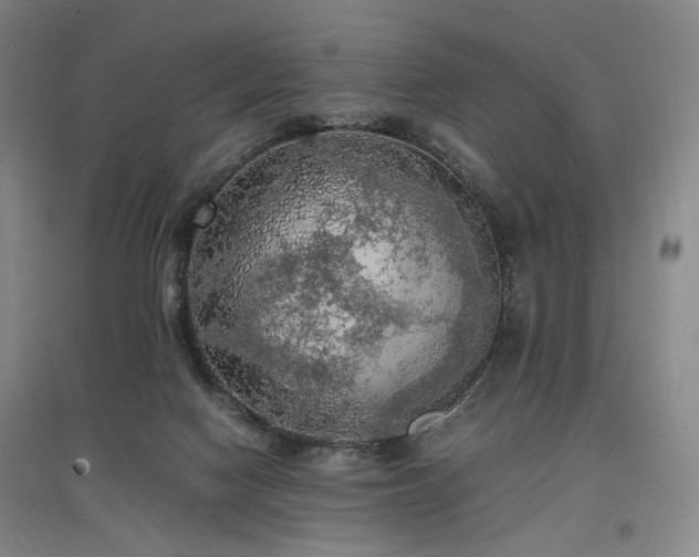 X0000097460074200802221223
