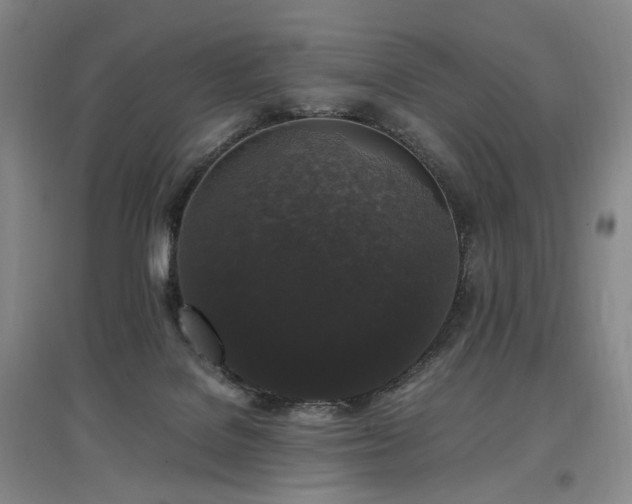 X0000097460076200802221223