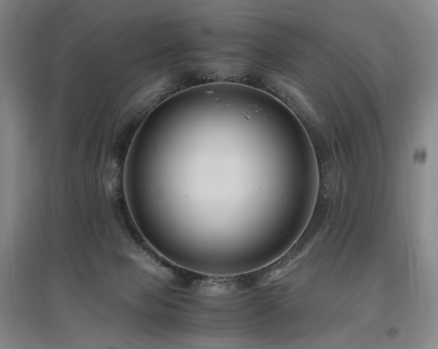 X0000097460077200802221223