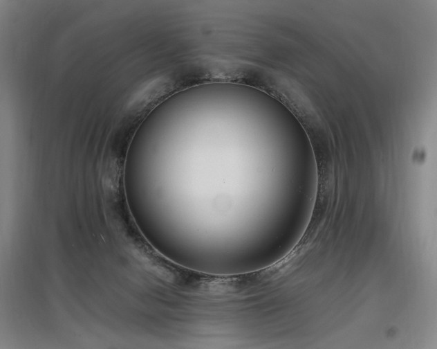 X0000097460078200802221223