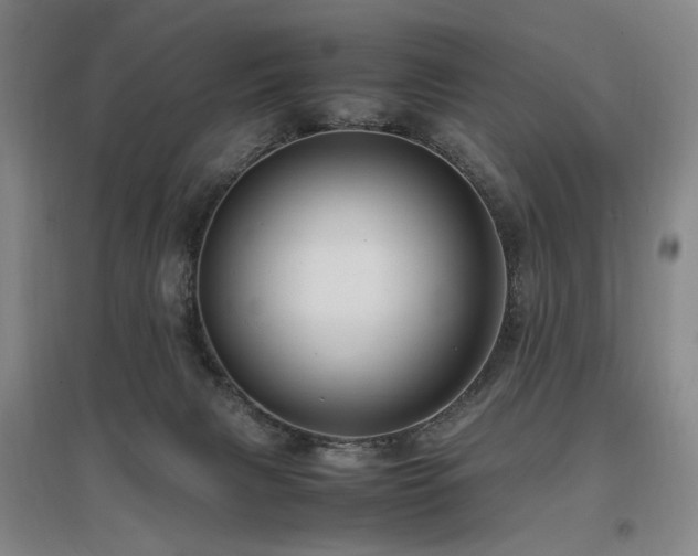 X0000097460079200802221223