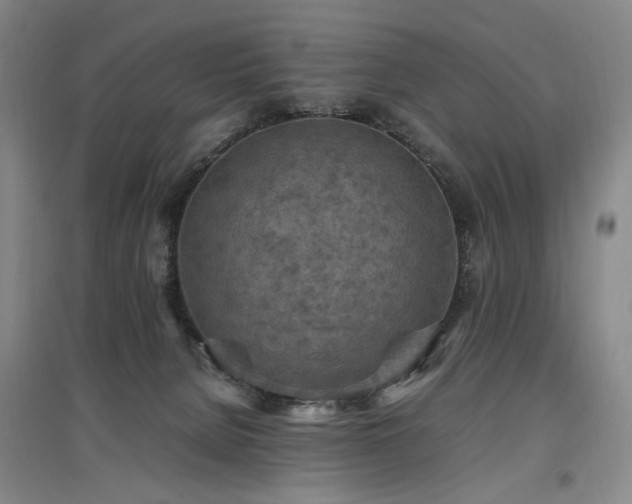 X0000097460080200802221223