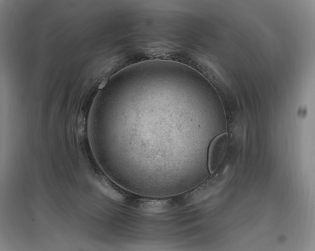 X0000097460081200802221223