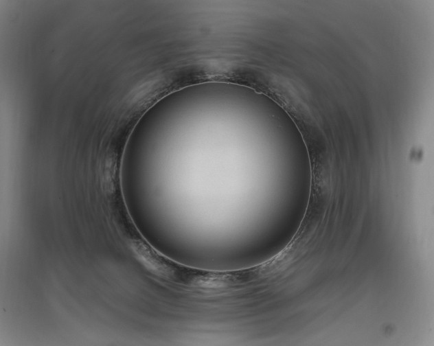 X0000097460082200802221223