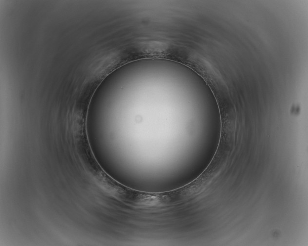 X0000097460083200802221223