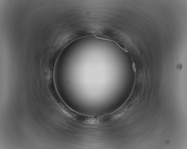 X0000097460084200802221223