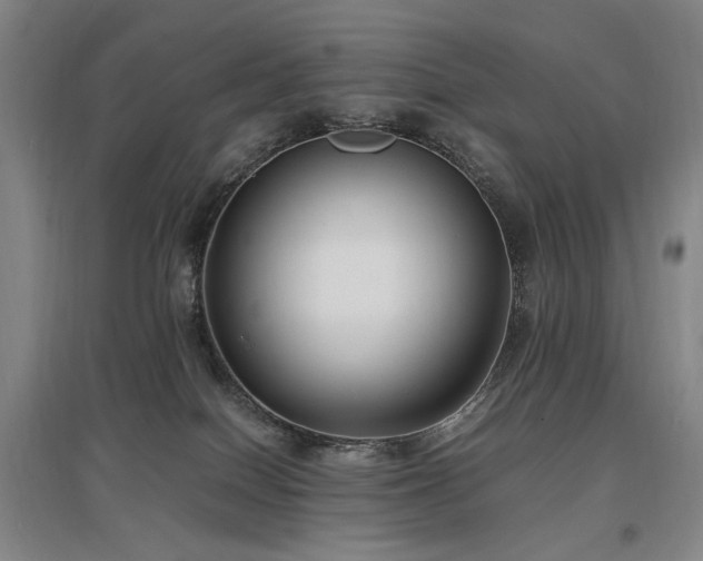 X0000097460086200802221223