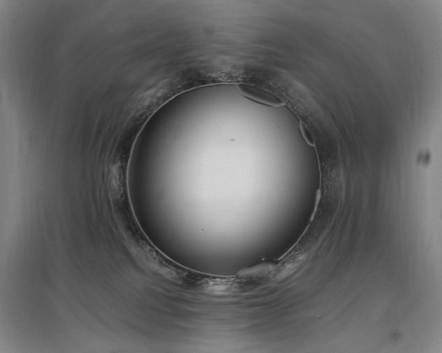 X0000097460088200802221223