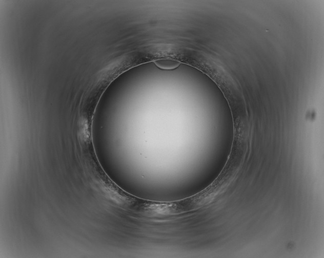 X0000097460089200802221223