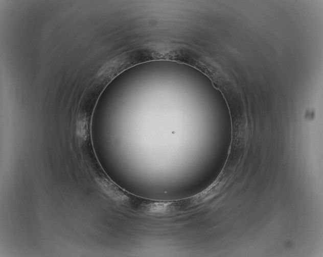 X0000097460090200802221223