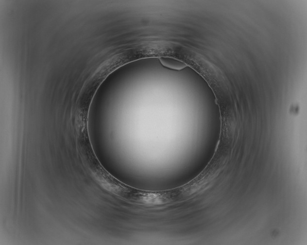X0000097460091200802221223