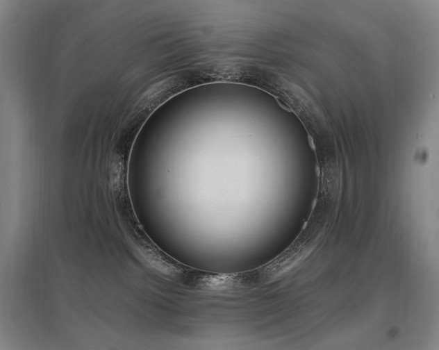 X0000097460092200802221223