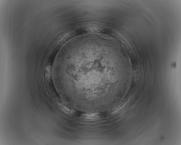 X0000097460093200802221223