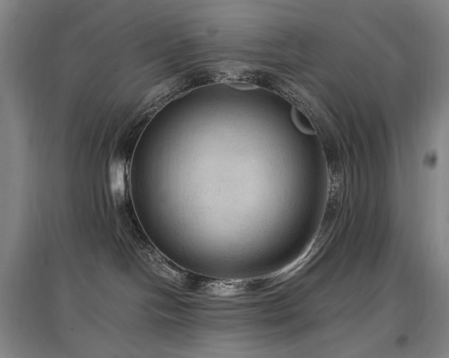 X0000097460094200802221223