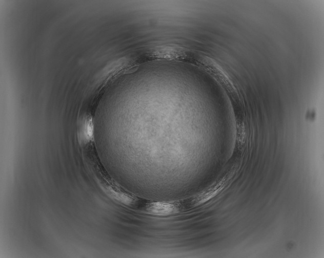 X0000097460095200802221223