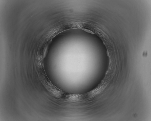 X0000097460096200802221223