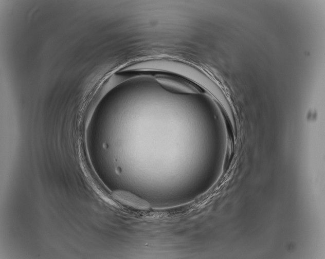 X0000097460097200802221222