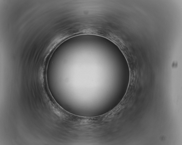 X0000097460098200802221222