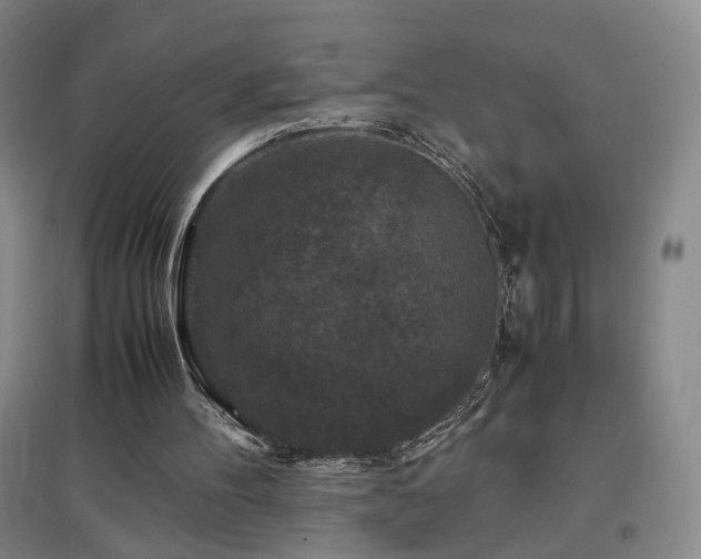 X0000097460100200802221222