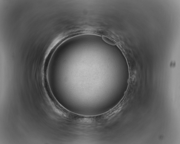 X0000097460102200802221222