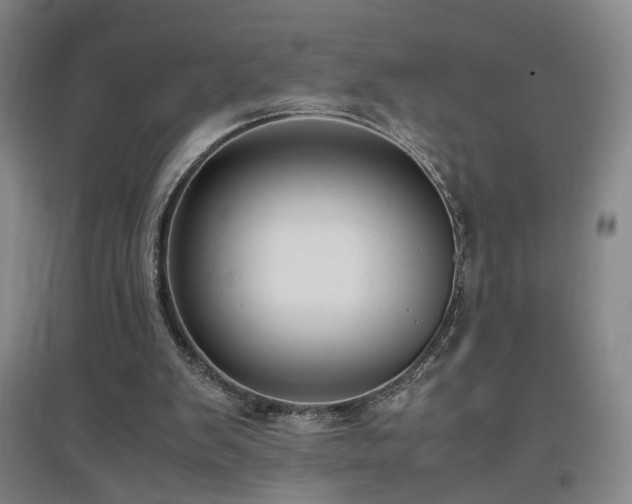 X0000097460103200802221222