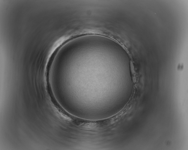 X0000097460104200802221222