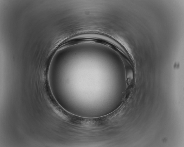 X0000097460105200802221222