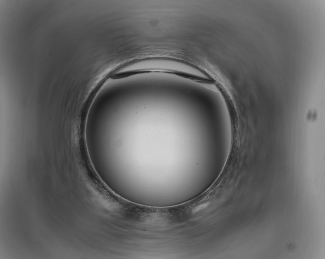 X0000097460107200802221222
