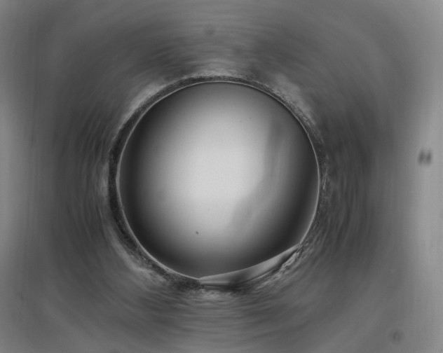 X0000097460108200802221222