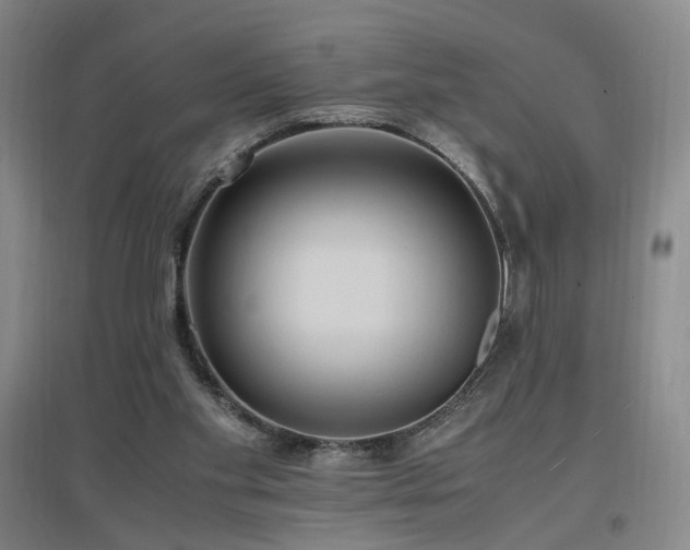 X0000097460109200802221222