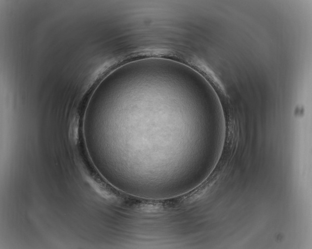 X0000097460110200802221222