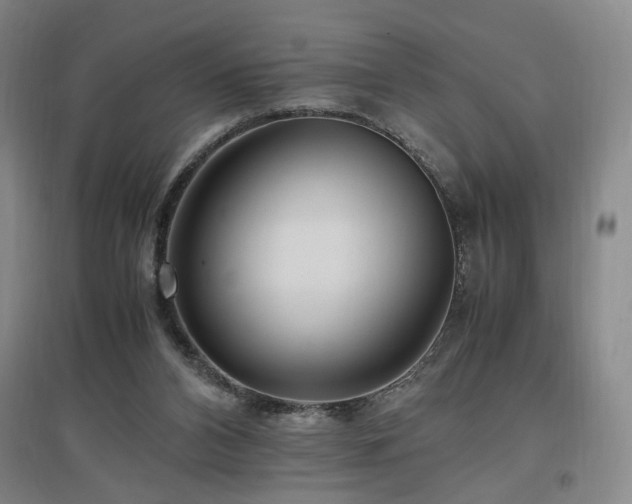 X0000097460112200802221222