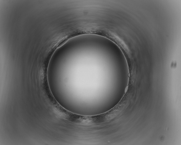 X0000097460113200802221222