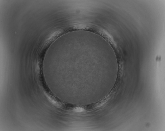 X0000097460114200802221222