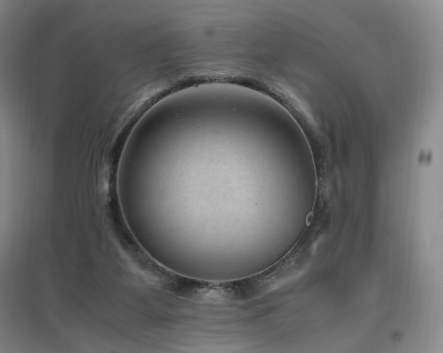X0000097460115200802221222