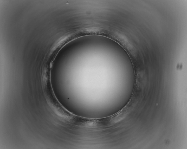 X0000097460116200802221222