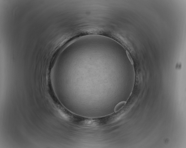X0000097460117200802221222