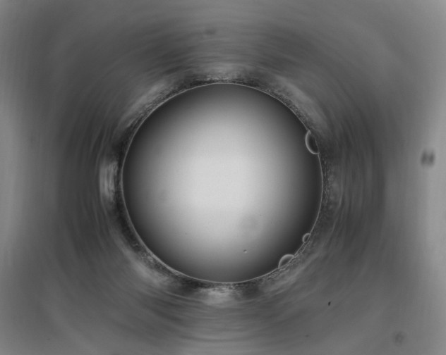 X0000097460118200802221222